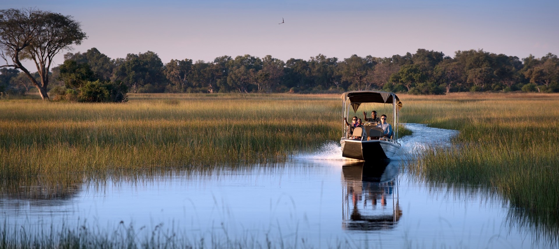 Safari bateau au Botswana